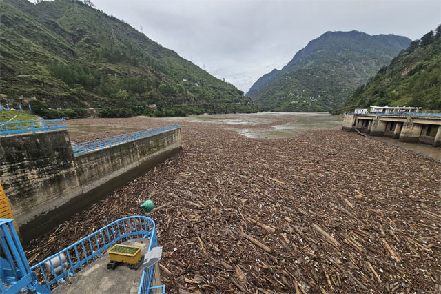 ਦਰਿਆਵਾਂ ਵਿੱਚ ਤੈਰਦੀ ਹੋਈ ਕੱਟੀ ਹੋਈ ਲੱਕੜ ਦੇ ਮਾਮਲੇ ਵਿੱਚ ਜੰਗਲਾਤ ਵਿਭਾਗ ਦੀ ਕਾਰਜ ਪ੍ਰਣਾਲੀ 'ਤੇ ਉਠੇ ਸਵਾਲ, ਉਦਯੋਗ ਮੰਤਰੀ ਨੇ ਜਾਂਚ ਦੀ ਮੰਗ ਕੀਤੀ