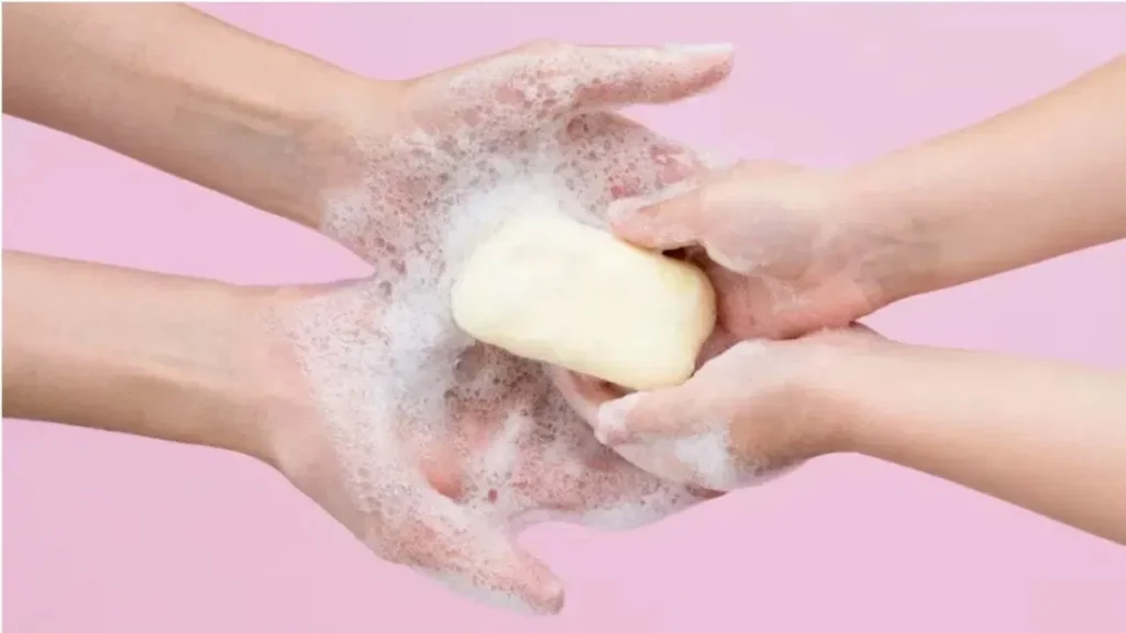 ਦੁਬਈ ਵਿੱਚ ਗਧੀ ਦੇ ਦੁੱਧ ਵਾਲਾ ਸਾਬਣ ਕਿਉਂ ਵਿਕ ਰਿਹਾ ਹੈ? ਜਾਣੋ ਇਸਦੀ ਕੀਮਤ ਕਿੰਨੀ ਹੈ?