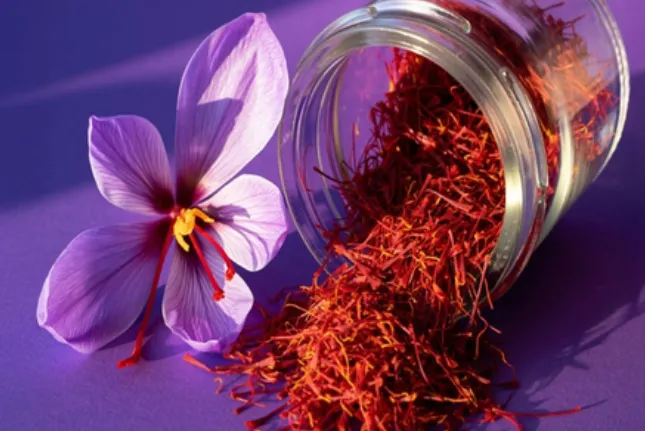 ਸਿਹਤ: ਕੇਸਰ ਸਰਦੀਆਂ ਵਿੱਚ ਸਿਹਤ ਅਤੇ ਦਿਮਾਗ ਲਈ ਇੱਕ ਵਧੀਆ ਟੌਨਿਕ ਹੈ, ਜਿਸਦਾ ਨਿਯਮਤ ਸੇਵਨ ਕਈ ਫਾਇਦੇ ਪ੍ਰਦਾਨ ਕਰੇਗਾ।